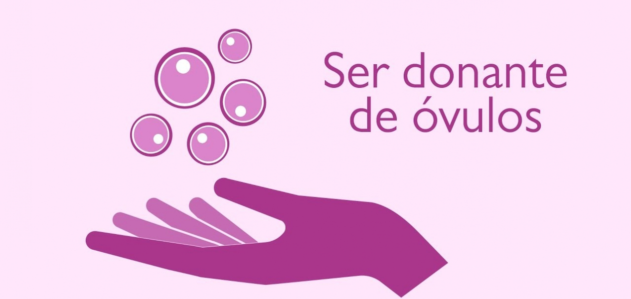 gallery/maxresdefault